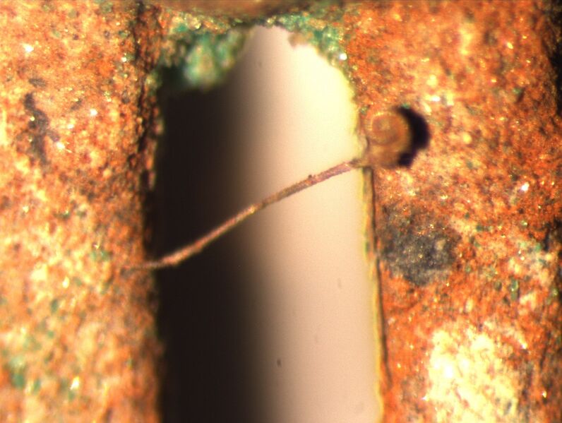 Datei:B11 Schoenebeck.jpg