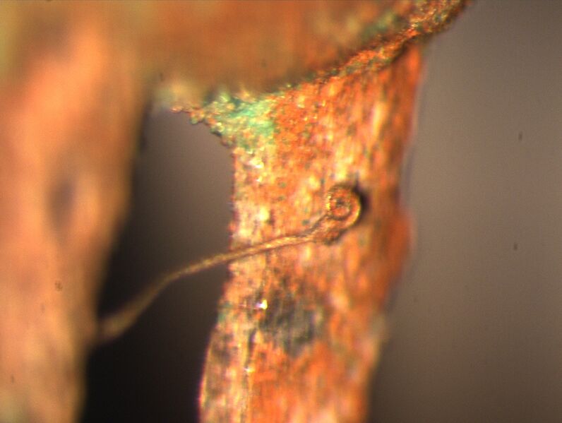 Datei:B10 Schoenebeck.jpg