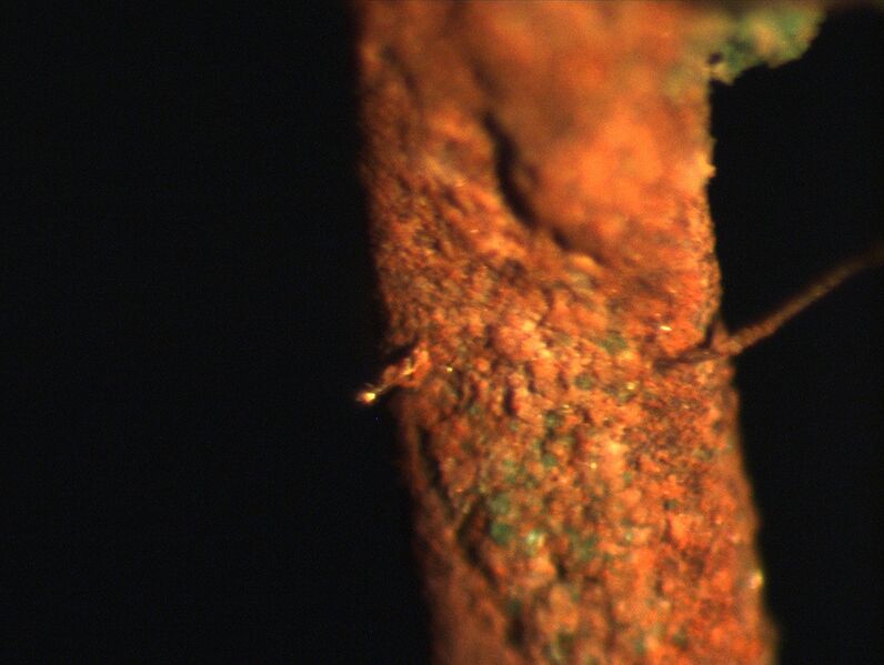 Datei:B3a Schoenebeck.jpg