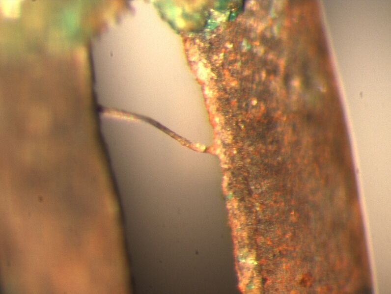 Datei:B8 Schoenebeck.jpg